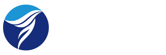 https://jslzzz.com/